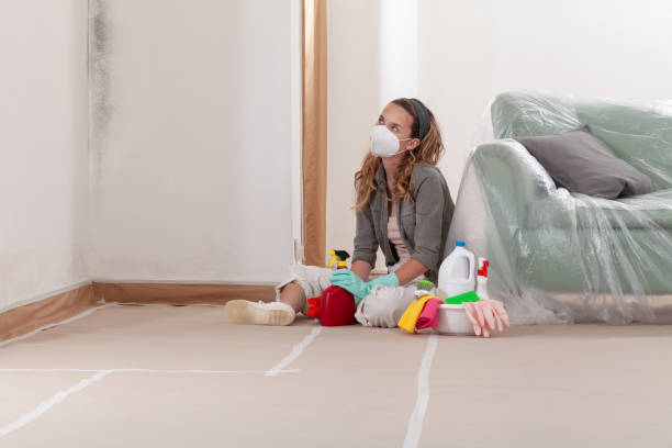 Reliable Commercial Mold Remediation contractor in Hopkins, MI by WQB Mold Removal